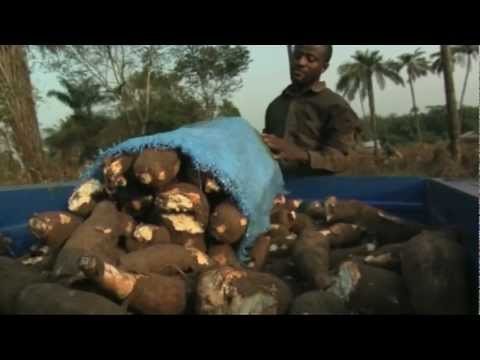 Sierra Leone Food Security