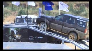 Terrapod Activity- Safari Storme