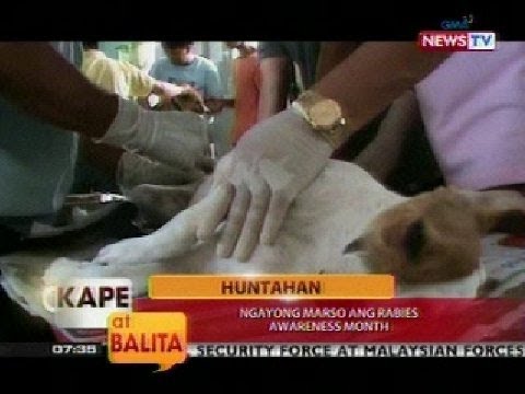 Video: Paano Makilala Ang Rabies