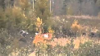 glenholme funday 4x4 2010
