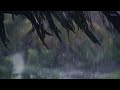 Gentle Rain on Coconut Roof | Rain Drops Sound for Relaxation & Sleep