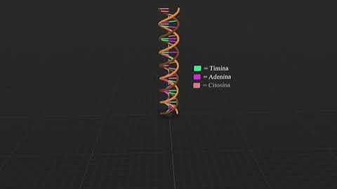 Reality composer DNA