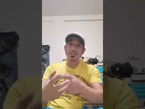 Video: Bakit Ang Isang Aso Ay Mayroong Maling Pagbubuntis?