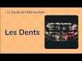 Ce1 abc en science  la sant de ltre humainles dents  