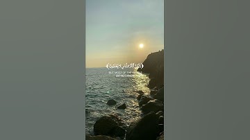 تلاوة من سورة غافر 🌿قرآن كريم 🌿القارئ ياسر الدوسري