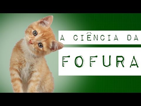 Vídeo: A sobrecarga de fofura é uma palavra real?