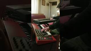 Keybs Improv Extra 🎹❓🗞️ 👻🍷💰 👀 👉 thefullerzone.com 👈 💥📖🌐 Flash Fiction daily 515+ #keyboard #fun 🎹⛪🎨🥳