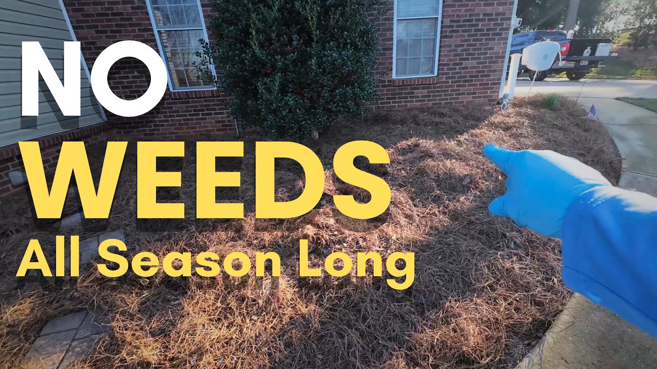 If You Have Natural Areas, Watch This Before Spring 