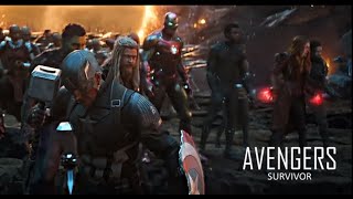 Avengers Survivor