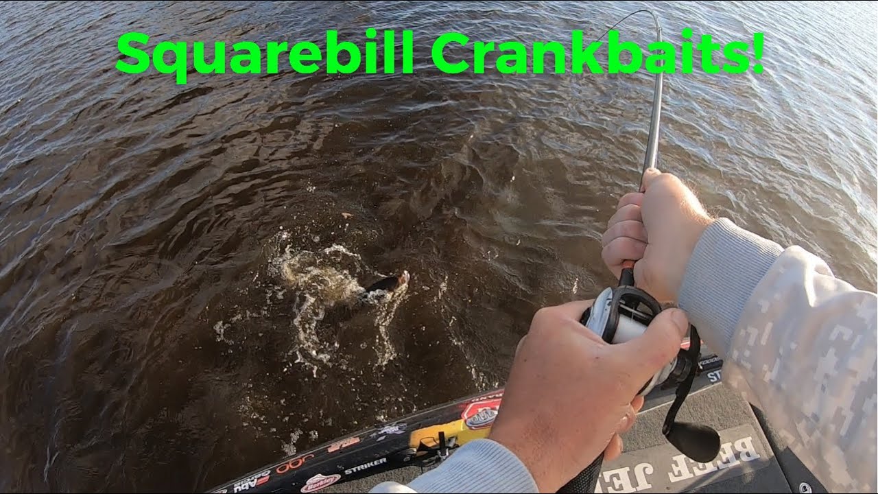 Советы по ловле на воблеры Squarebill!