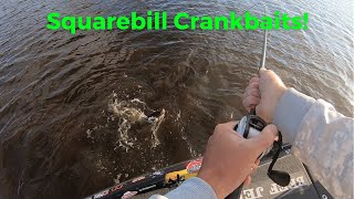 Squarebill Crankbait Fishing Tips!