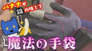バナナが鉄の味に？つけるだけで味変できる手袋！！【マスクにゃんニュース】
