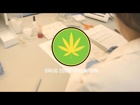 ვიდეო: როგორ ამოვიცნოთ ფარული ნარკოტიკების ლაბორატორია: 11 ნაბიჯი (სურათებით)