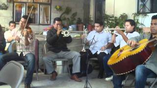 Fantasia para trompetas ( fantasy for trumpet ) Mariachi PerAma Internacional chords