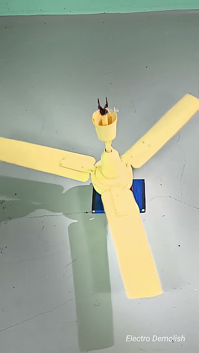 Fan Said: I’m Done With This Cactus 💥🌵 #ceilingfan #kipasmurah #kipasangin