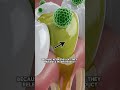 Sugar Doesn't Rot Teeth (This Does) 🦷🦠 #shorts