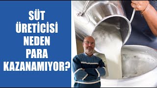 Süt Üreticisi Neden Para Kazanamıyor? |  Prof Dr. Armağan Hayırlı