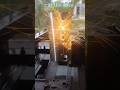 cutting wire