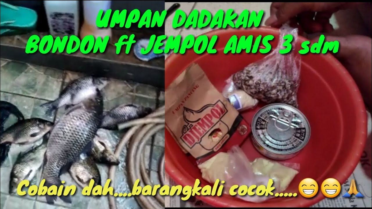 UMPAN DADAKAN BONDON ft JEMPOL AMIS 3sdm