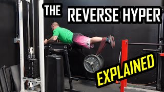 Magic Deadlift Accessory or Overhyped Merchandise? The Reverse Hyper Explained