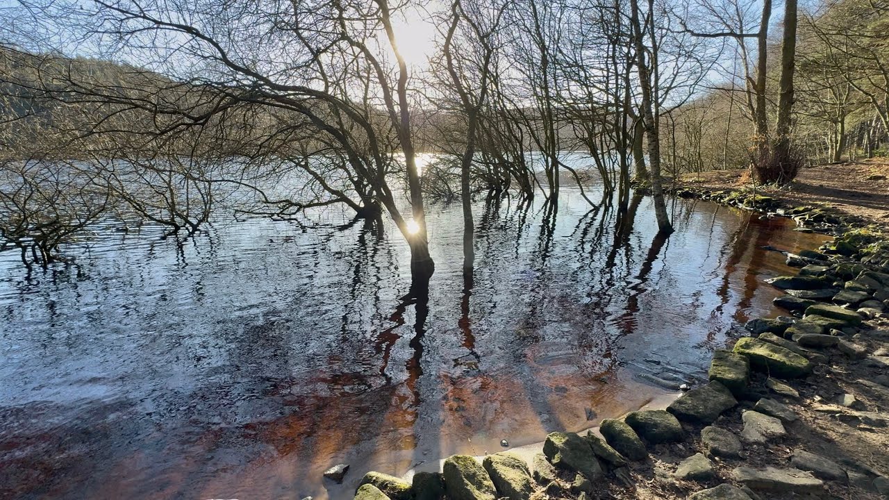 Dale Dike Reservoir 2, Peak District National Park, 2/1/26
