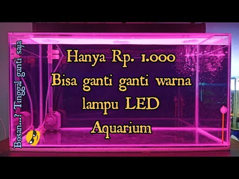 Cara Membuat Aquarium Lamp led aquascape dengan Charger HP Ide Kreatif DIY. 