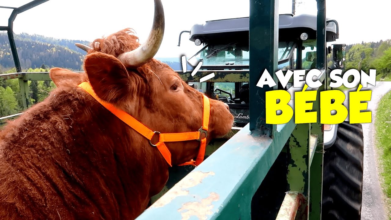 LA PRUD EN PROMENADE 💕