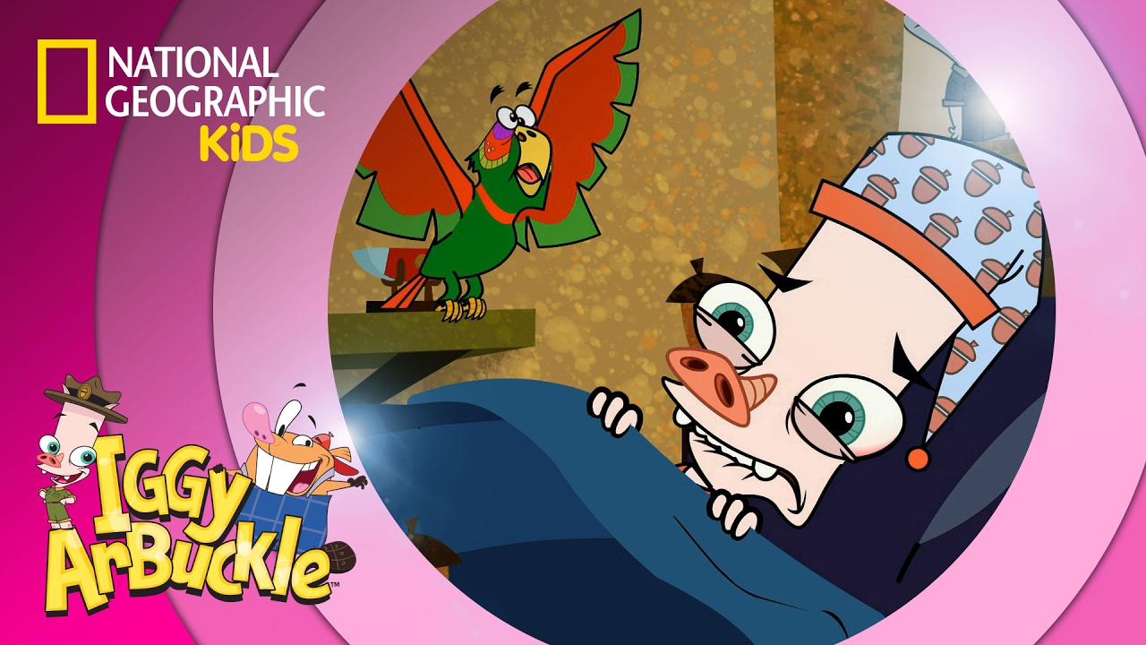 Bird in The Hoof | Iggy Arbuckle