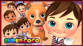 B-I-N-G-O Song🐶🐶 + |Nursery Rhymes for Kids and Children | Super Coco #kidssong