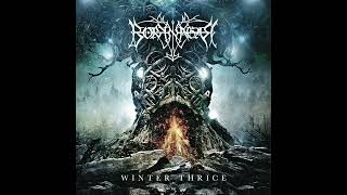 Borknagar - 7 Noctilucent | Winter Thrice 2016 #progressivemetal #blackmetal