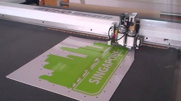 iECHO CCD Cutting printed Solution