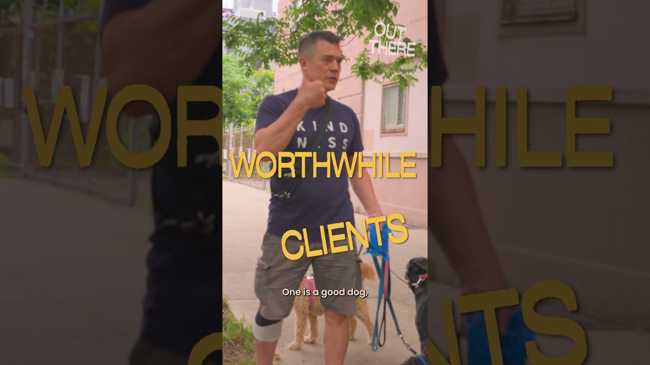 What I learned walking dogs in NYC