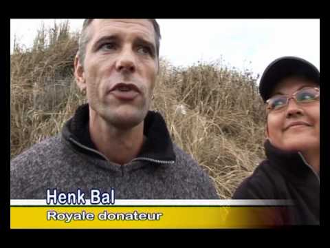 GPTV: vrijlating zeehonden vlieland