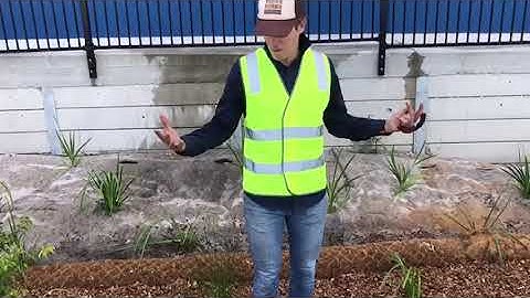 Inspection of Filterra Bioretention System