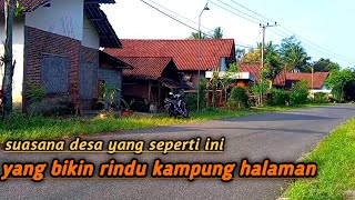 INDAH BANGET!! suasana pedesaan pagi hari dengan iringan Gending Jawa terasa damai || hidup di desa