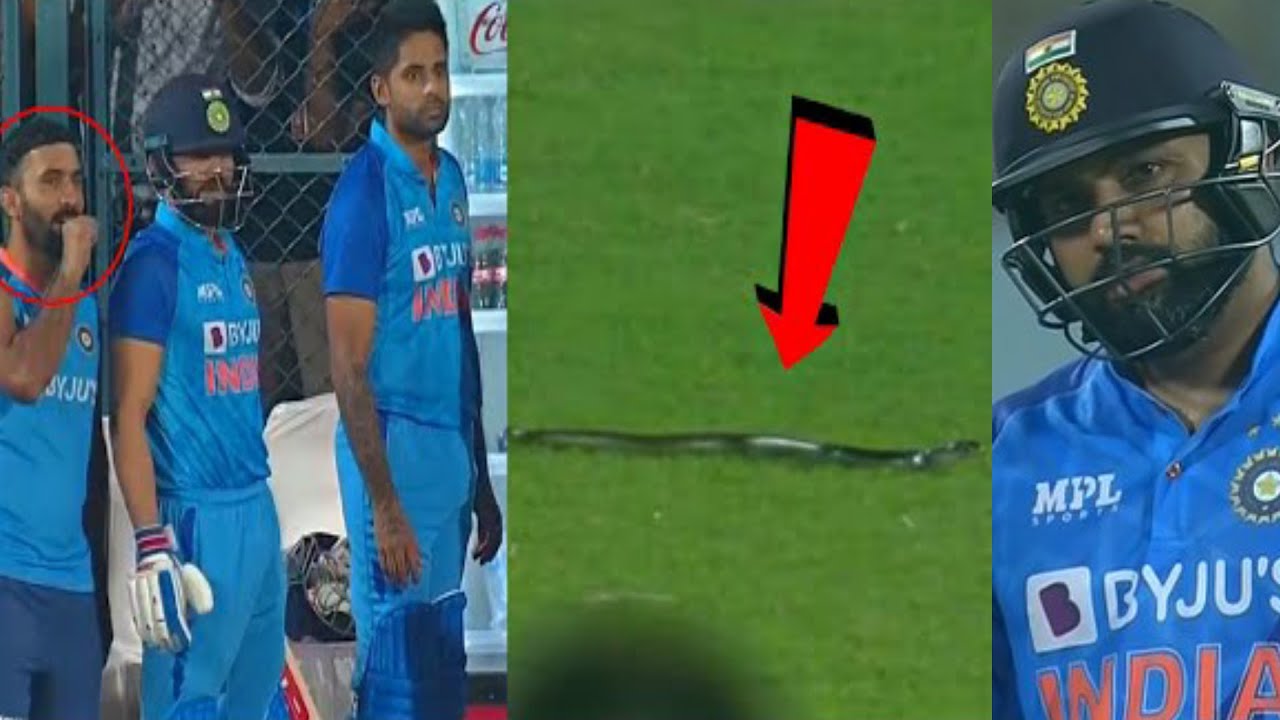 Shocking 6 feet snake came in ground during live match, India vs South Africa 2nd t20 | IND VS SA