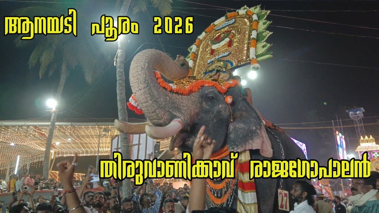 Thiruvanikkavu Rajagopalan Mass Entry l Anayadi Pooram 2026