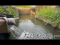 用水路の終着地点にまさかの巨大生物が住み着いていた…