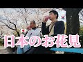 人生始めて日本人とお花見しに行って感動しました!!!綺麗な桜の下で大切な人と時間を過ごして幸せな韓国人です