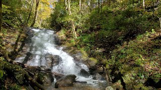 Hike to Moses Creek Falls Cullowhee NC