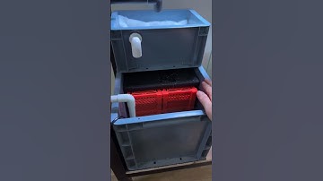 Lọc tràn dưới chế bằng thùng nhựa #aquarium #achinchoica