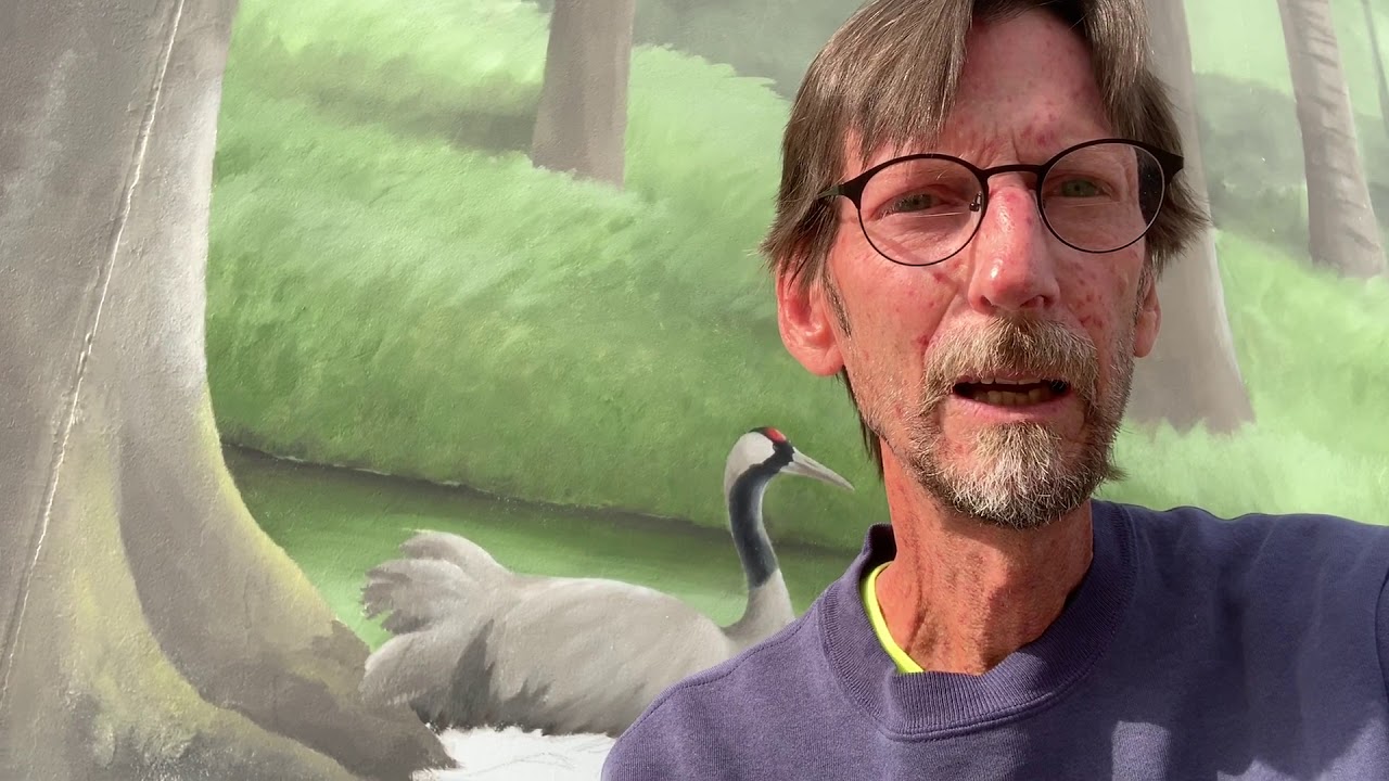 Jay uses nontoxic, ecofriendly ECOS paint for bird sanctuary mural YouTube