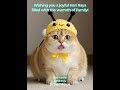 Selamat Hari Raya 2026 | BerryHappy.ai #aishorts #ai #aivideo #viral #cat @Dreamface_officialapp
