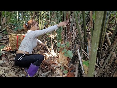 the girl went into the forest to find food and was unfortunately ...
