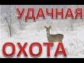 Удачная охота на косулю. закрыли 2 лицензии. Successful roe deer hunt. closed 2 licenses. 4K