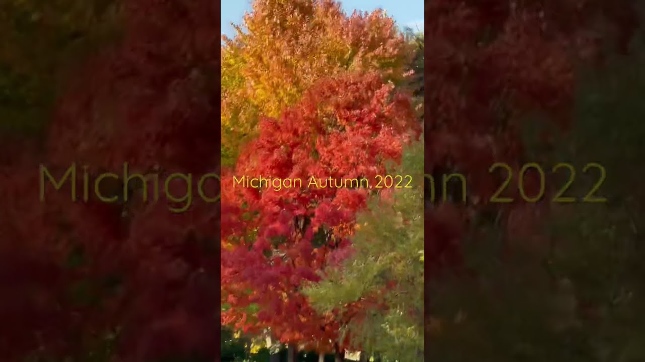 #Michigan #Autumn #Leaves