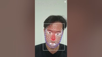 Face Mesh Detection Demo