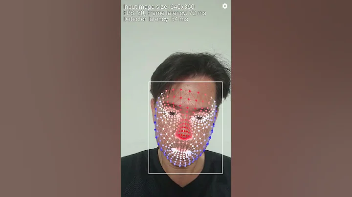Face Mesh Detection Demo