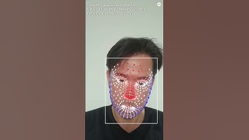 Face Mesh Detection Demo
