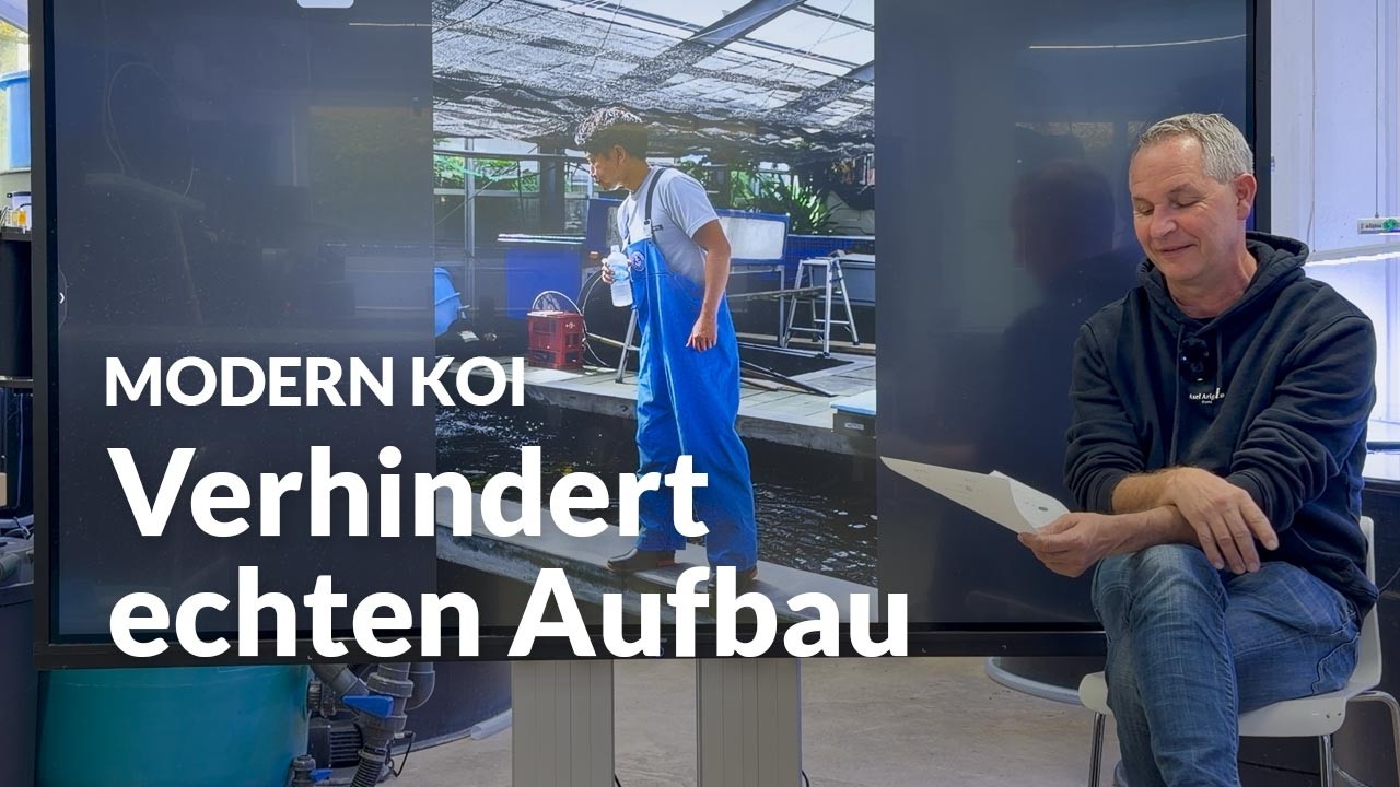 Dies und das zu Filterstarterbaktierien | Modern Koi Blog #8052